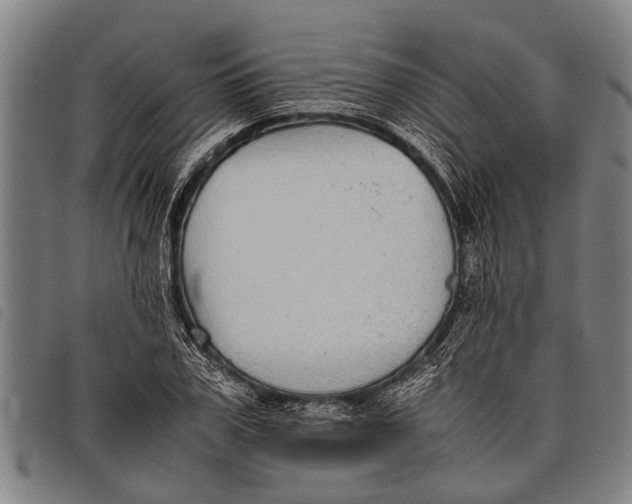 X0000097860979200804041525