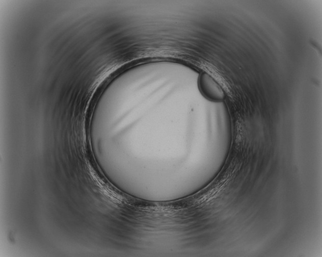 X0000097860980200804041525