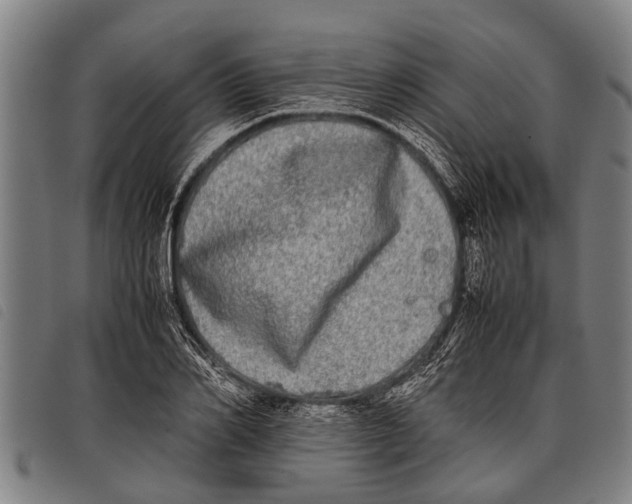 X0000097860982200804041525