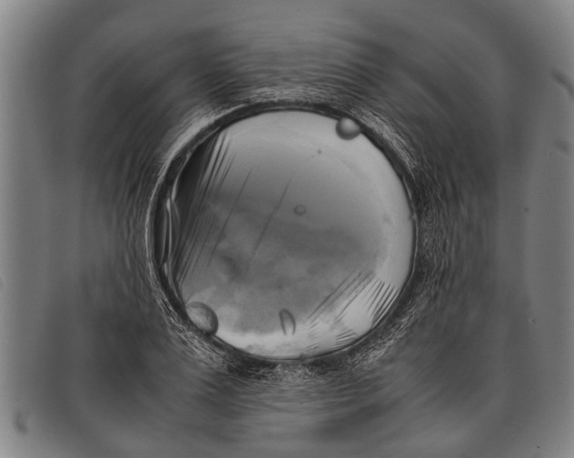 X0000097860983200804041525