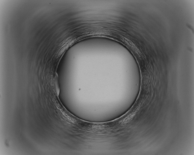 X0000097860985200804041525