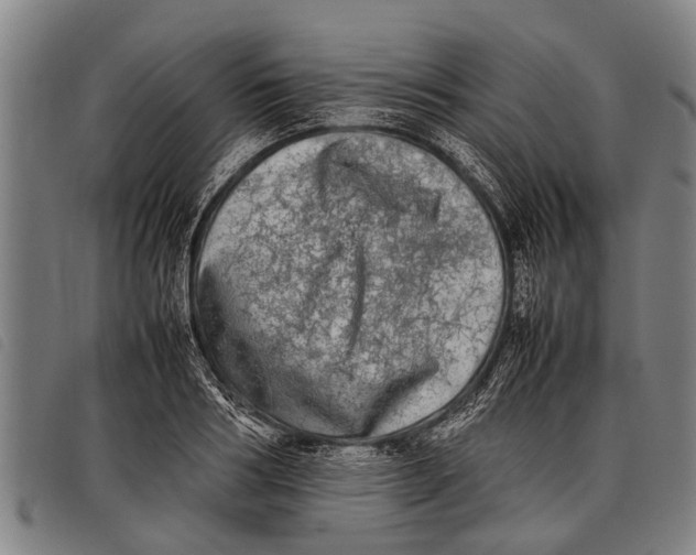 X0000097860986200804041525