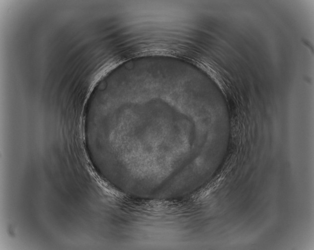 X0000097860987200804041525