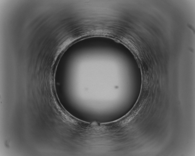 X0000097860989200804041525