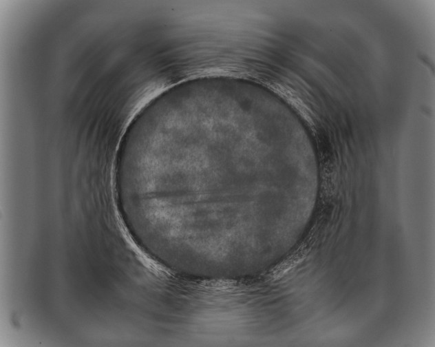 X0000097860991200804041525