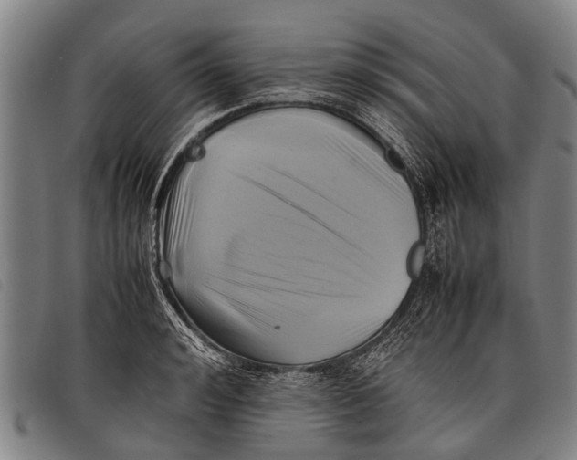 X0000097860992200804041525