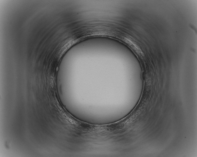 X0000097860993200804041525