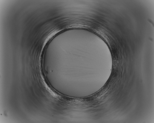 X0000097860995200804041525