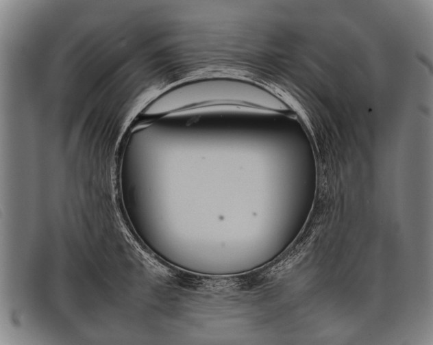 X0000097860997200804041525