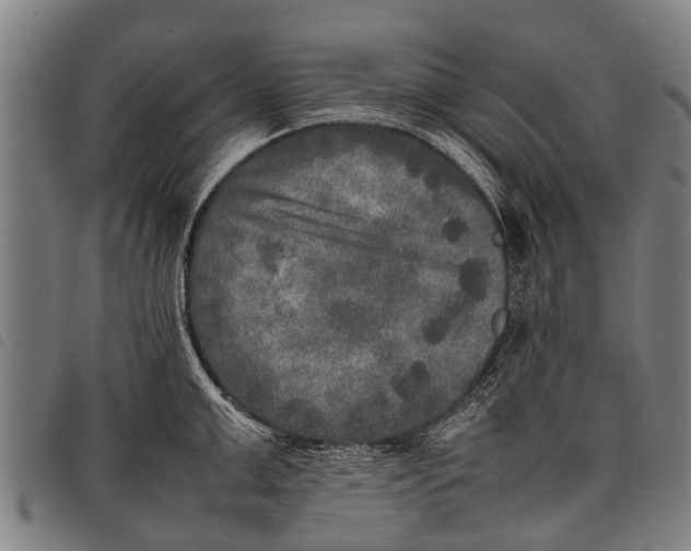 X0000097860999200804041524