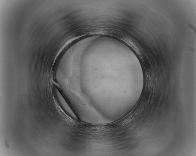 X0000097861000200804041524