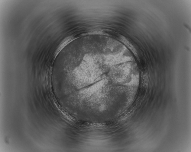 X0000097861002200804041524