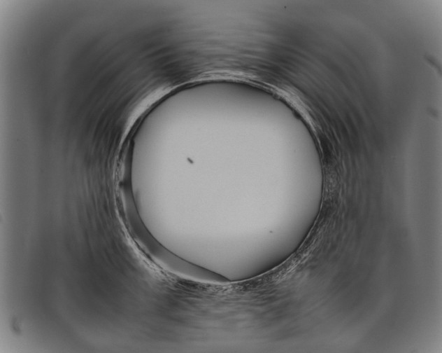 X0000097861003200804041524