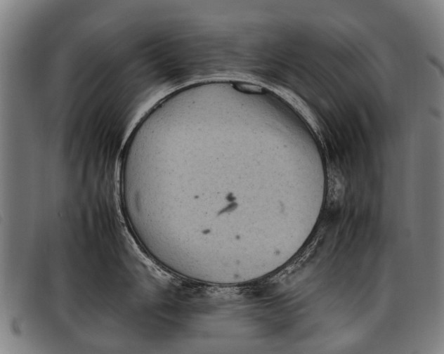 X0000097861006200804041524