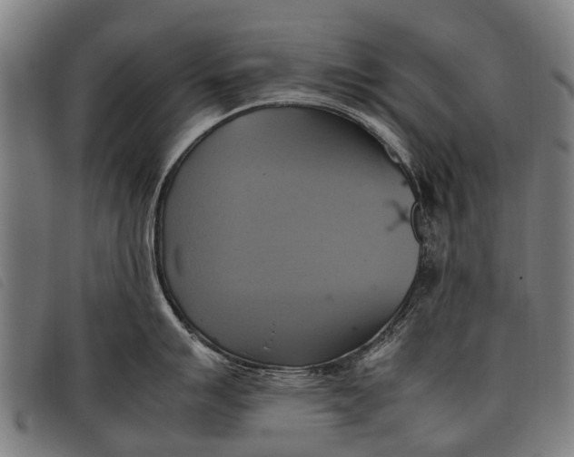 X0000097861007200804041524