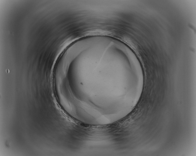 X0000097861008200804041524