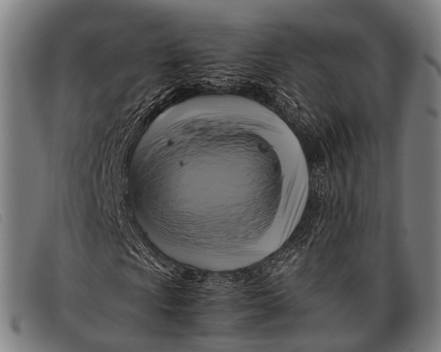 X0000097861009200804041524