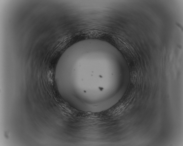 X0000097861010200804041524