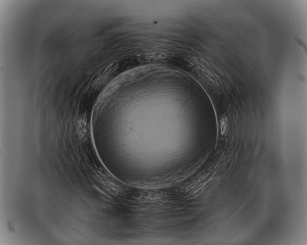 X0000097861011200804041524