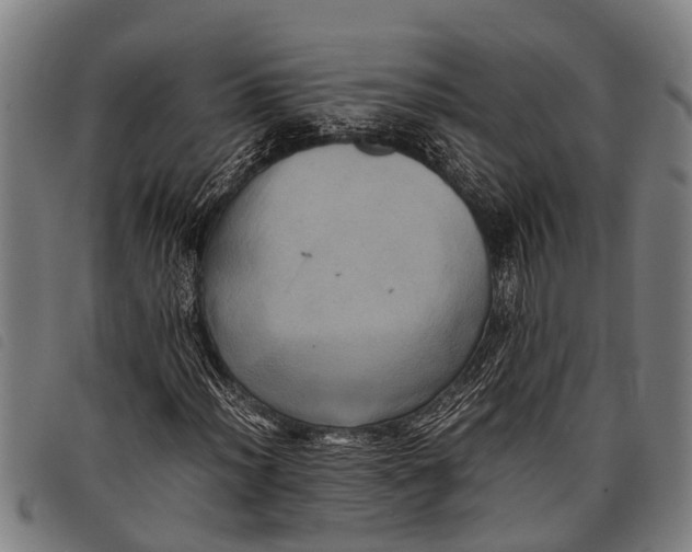 X0000097861012200804041524