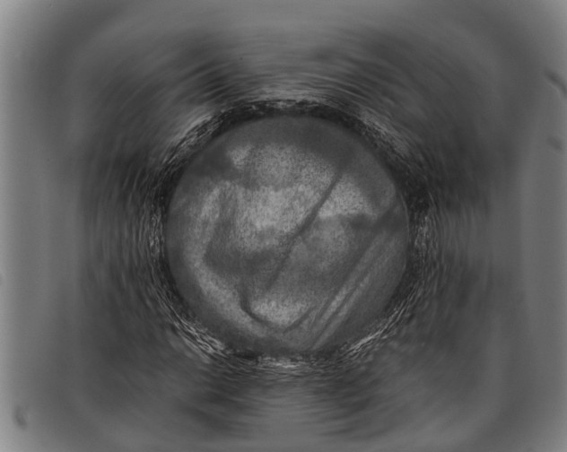 X0000097861014200804041524