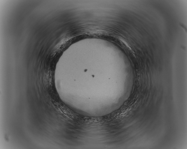 X0000097861016200804041524