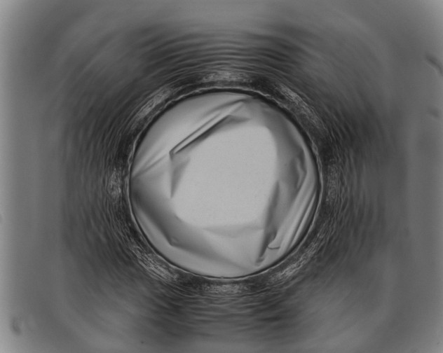 X0000097861017200804041524