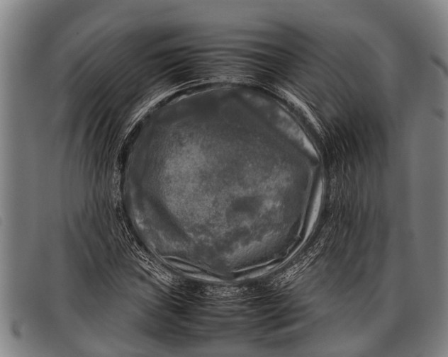 X0000097861019200804041524