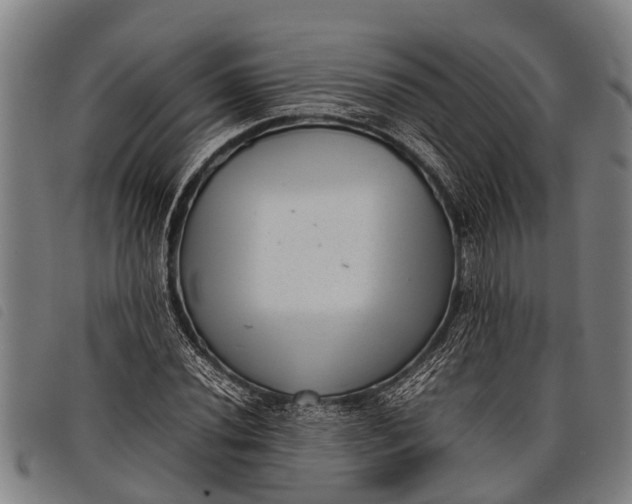 X0000097861020200804041524