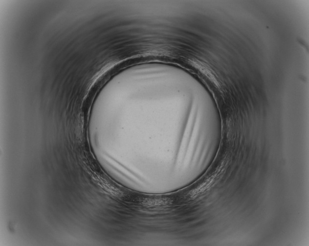 X0000097861021200804041524