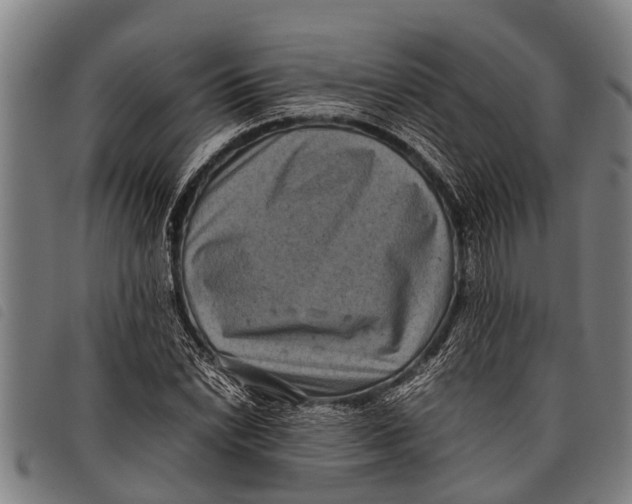 X0000097861022200804041524