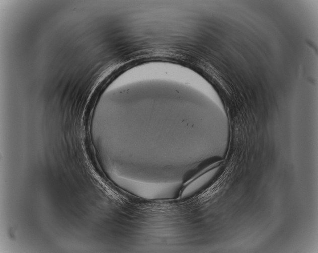 X0000097861024200804041524