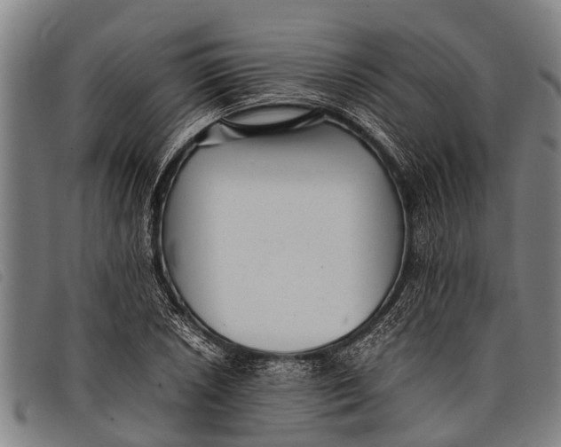 X0000097861026200804041524