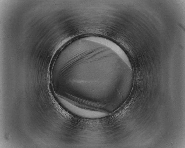 X0000097861028200804041524