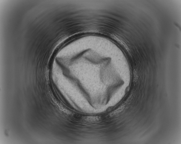 X0000097861029200804041524