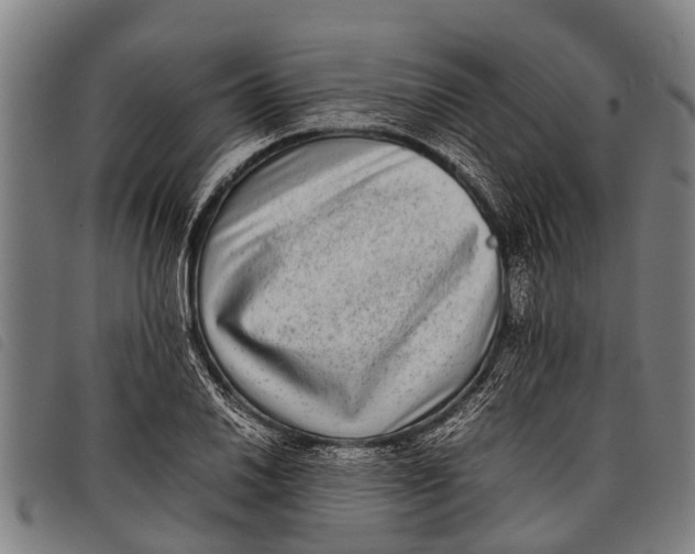 X0000097861030200804041524