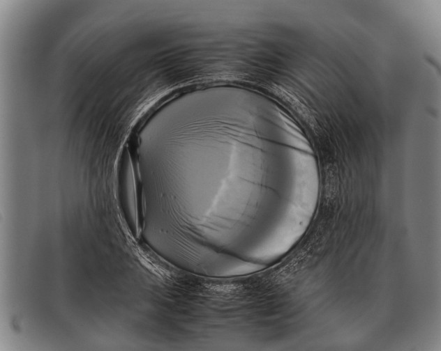 X0000097861031200804041524