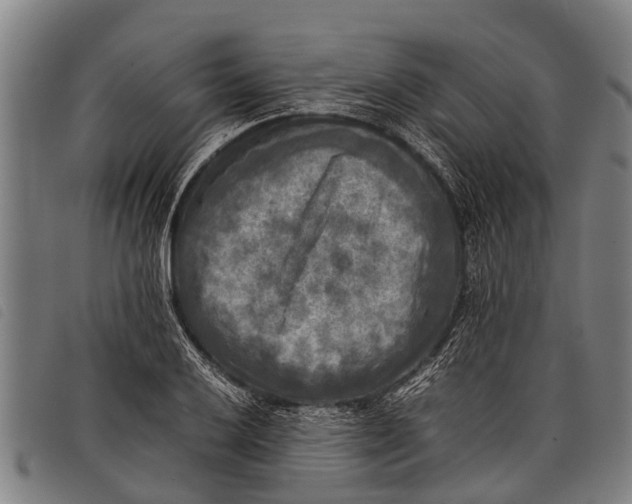 X0000097861032200804041524