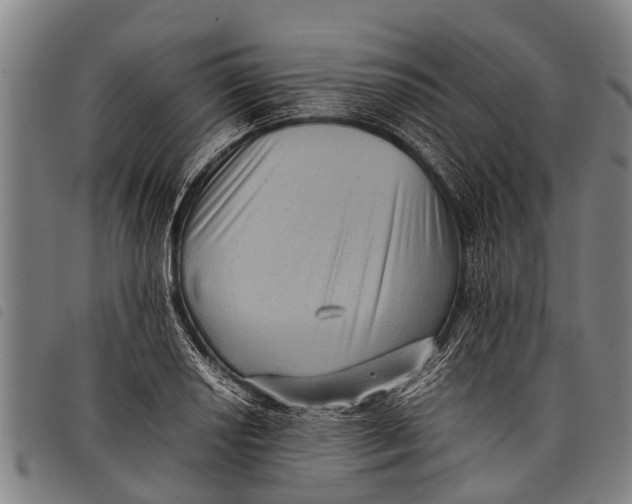 X0000097861034200804041524