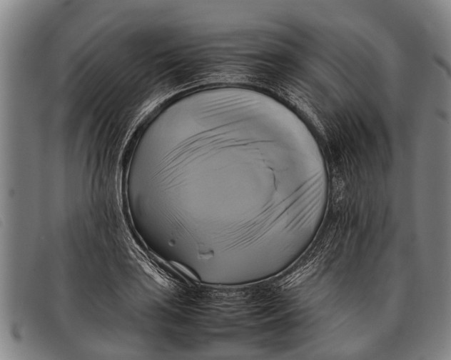 X0000097861035200804041524