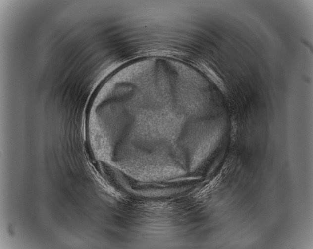 X0000097861036200804041524