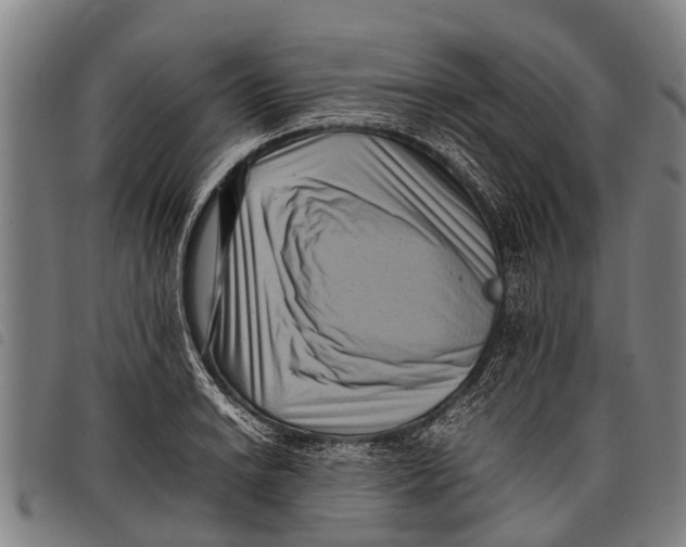 X0000097861038200804041524