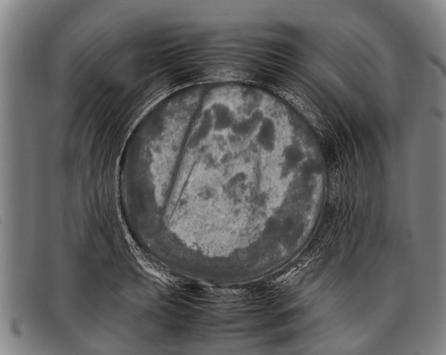 X0000097861039200804041524