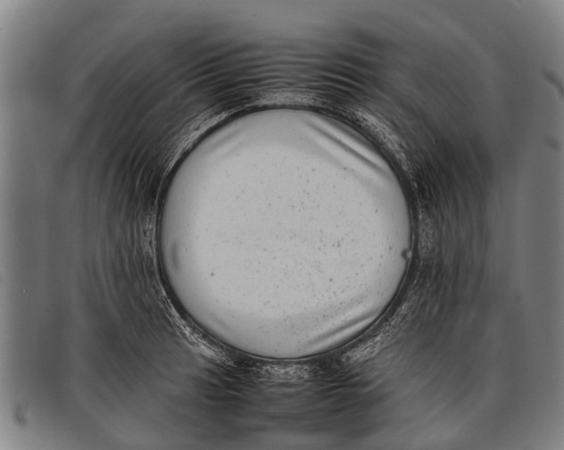 X0000097861041200804041524