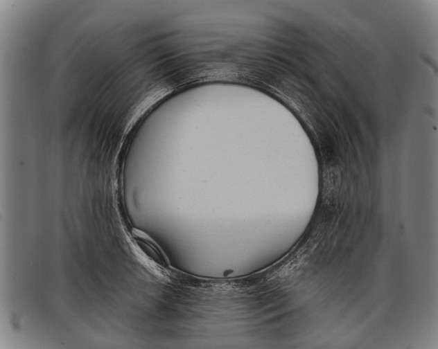 X0000097861042200804041524