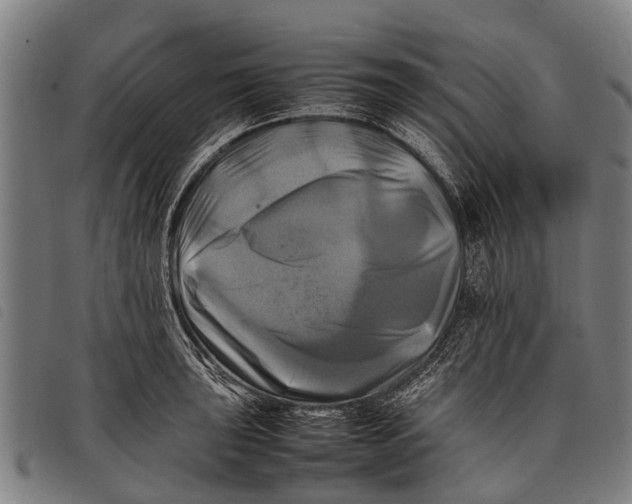 X0000097861043200804041524