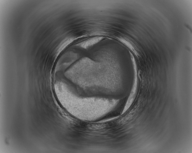 X0000097861047200804041524