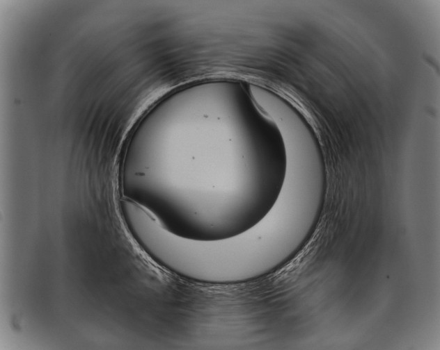 X0000097861048200804041524