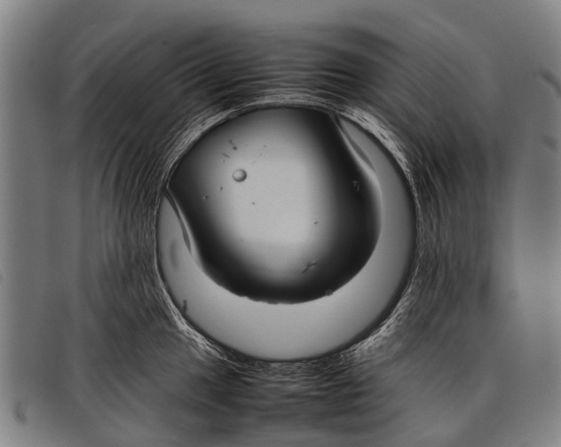 X0000097861049200804041524