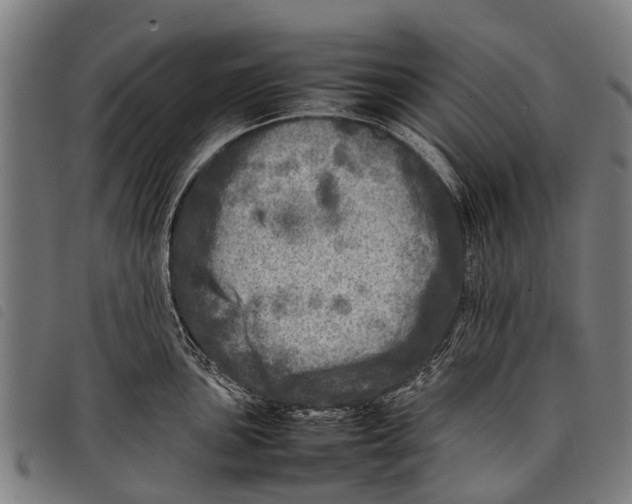 X0000097861051200804041524